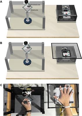 Tactile-STAR: A Novel Tactile STimulator And Recorder System for Evaluating and Improving <mark class="highlighted">Tactile Perception</mark>